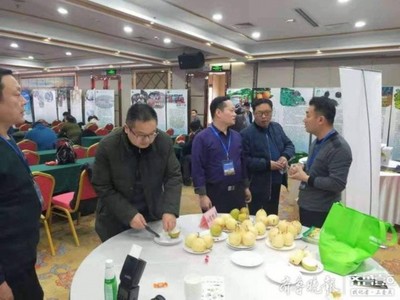 陽信鴨梨榮獲“全國綠色農(nóng)業(yè)十佳地標(biāo)品牌”稱號，綠色農(nóng)業(yè)品牌價值再提升